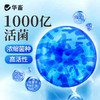 华畜枯草芽孢杆菌1000亿活菌水产养殖鱼虾蟹改底调水肥水净水调藻 商品缩略图2