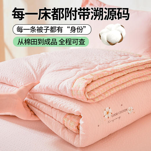 【品牌直发】加倍生活 A类新疆棉花夏凉被-泡芙烫画系列 7色可选 加宽包边水洗棉泡泡纱吸湿透气棉花夏被 空调被纯色烫画 商品图5