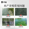 华畜枯草芽孢杆菌1000亿活菌水产养殖鱼虾蟹改底调水肥水净水调藻 商品缩略图1