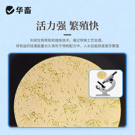 【积分兑换】华畜硅藻种源500g 低温藻种肥水培饵 活力强繁殖快 可搭配肥水膏使用 商品图2