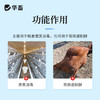 福尔马林甲醛溶液500ml  熏蒸消毒 胃肠道制酵 商品缩略图1