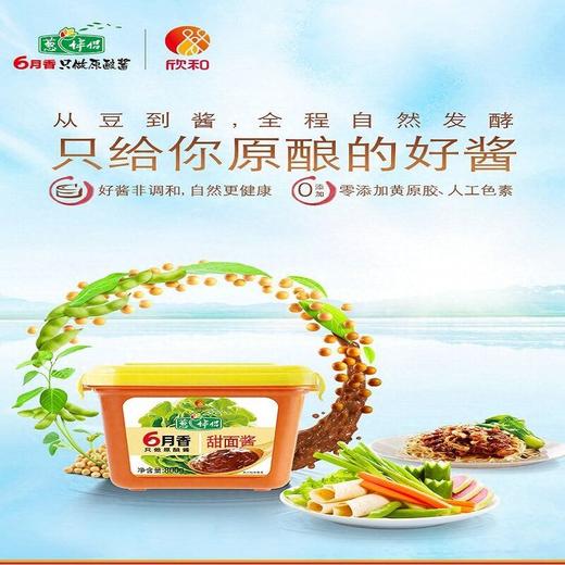 葱伴侣800g六月香甜面酱 商品图2