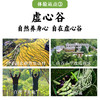 【3个基地通用】谦益蕲春虚心谷、山西芗舍里、建德田度里、文旅滋养充电卡10次/人 包食宿  （赠送优惠券为核销券 非赠品，自购买日期起两年内有效） 商品缩略图4