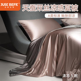【品牌直发】加倍生活 A类冰丝绸天蚕双丝凉感夏被 天丝桑蚕丝5色可选 夏凉被空调被