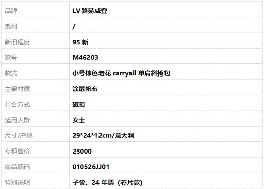【95新】LV路易威登M46203小号棕色老花carryall单肩斜挎包女士010526JJ01 商品图10