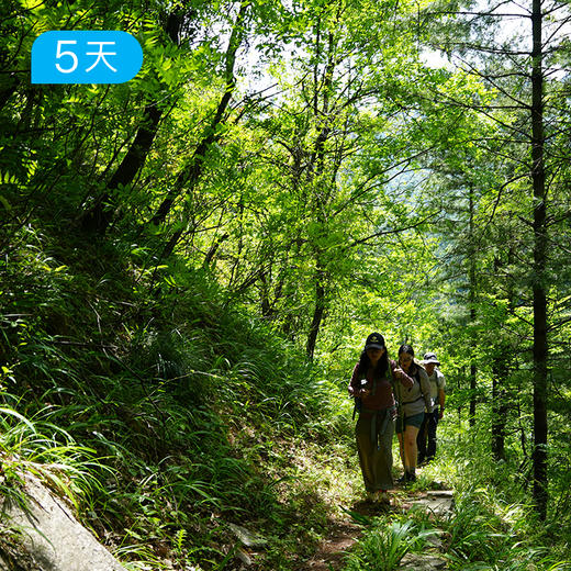 探三峡 · 走进长江｜27公里人文轻徒步 豪华游轮+徒步悠游三峡之路 5日 商品图8