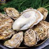 顺丰发货！贝司令 乳山生蚝 4斤-5斤 出口级品质 新鲜现捞 肥美多汁 ASC认证 乳山地标认证 鲜甜不腥 商品缩略图0
