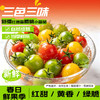 【新疆 樱桃小番茄】 商品缩略图0