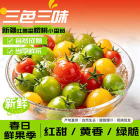 【新疆 樱桃小番茄】