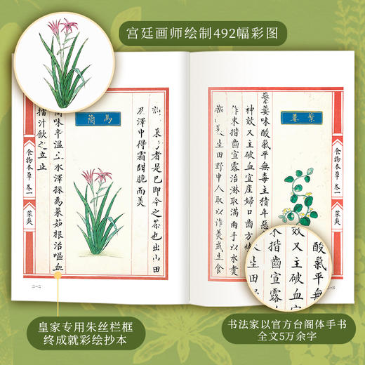 《食物本草》皇家珍藏版 | 从御膳房到百姓家，养护华夏子孙500年 商品图4
