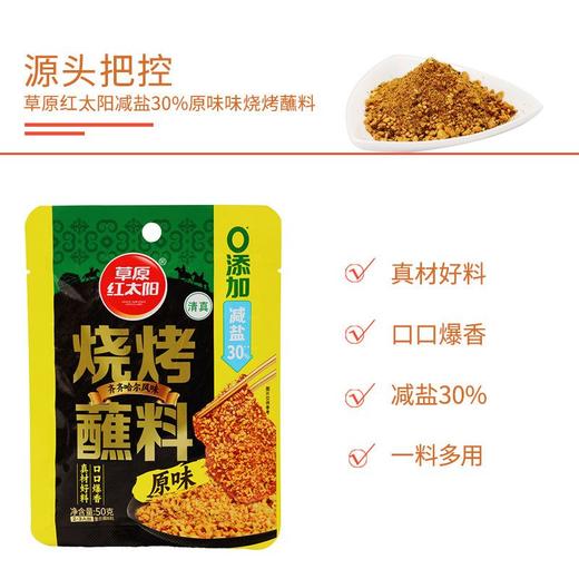 草原红太阳50g齐齐哈尔原味烧烤蘸料 商品图4