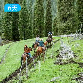 马背旅行·探秘库尔德宁原始森林6天5晚