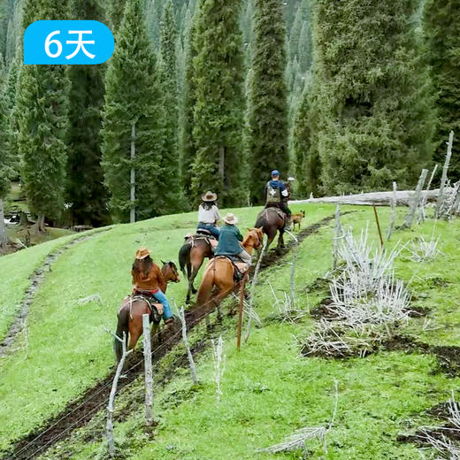 马背旅行·探秘库尔德宁原始森林6天5晚 商品图0