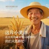丨有机丨手拉面 高塔儿梁 内蒙旱作 商品缩略图1