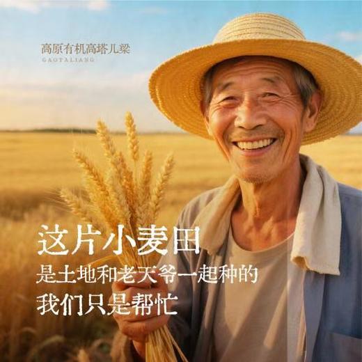 丨有机丨手拉面 高塔儿梁 内蒙旱作 商品图1
