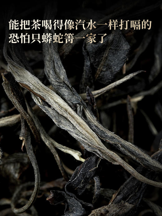 5月7日中午12点【蟒蛇箐高杆】2026年头春头采蟒蛇箐高杆预定藏匿深山的瑰宝五棵大高杆单采单制，250克/箱 商品图1