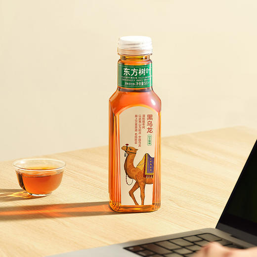 东方树叶1*15*500mL-纸箱装 商品图2