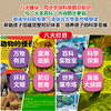 【25年07月-26年06月】大英百科少儿探索—跨年刊12本 超值3重赠品 包含创刊号 商品缩略图2