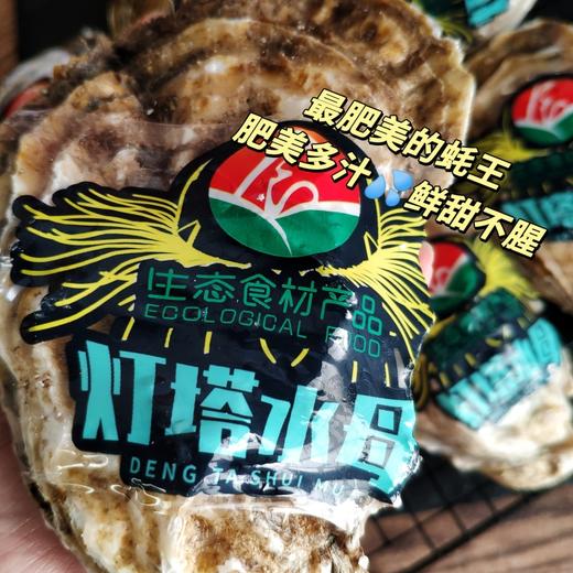 顺丰发货！贝司令 乳山生蚝 4斤-5斤 出口级品质 新鲜现捞 肥美多汁 ASC认证 乳山地标认证 鲜甜不腥 商品图3