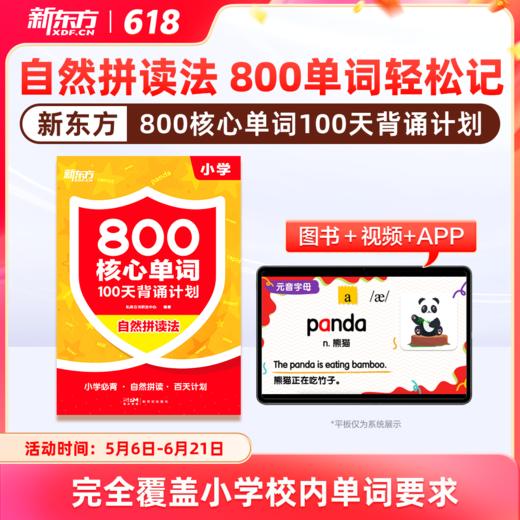 【新东方】小学800核心词100天背诵计划自拼拼读法高效记忆 商品图0