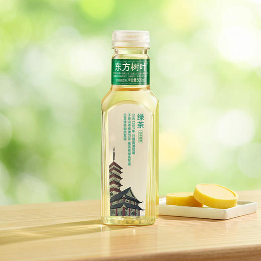 东方树叶1*15*500mL-纸箱装 商品图3