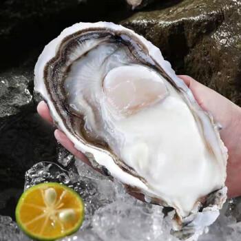 顺丰发货！贝司令 乳山生蚝 4斤-5斤 出口级品质 新鲜现捞 肥美多汁 ASC认证 乳山地标认证 鲜甜不腥 商品图4