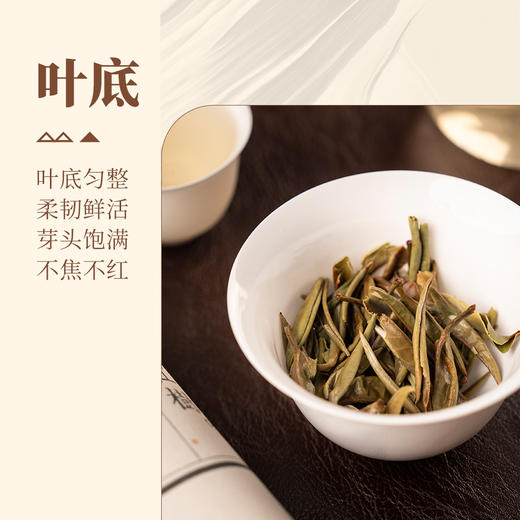 【甘活坊】云南古树月光白60g 商品图4