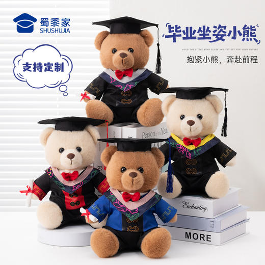【坐姿毕业熊】可定制学士/硕士/博士毛绒公仔玩具礼盒装文科/理科/工科/医科小熊玩偶送礼摆件 商品图0