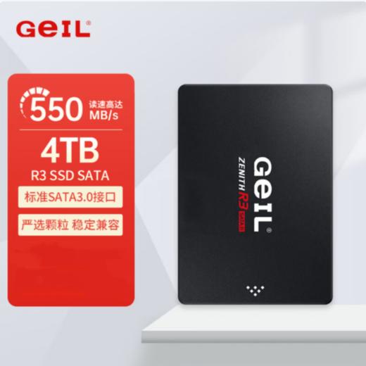 【OUSM】金邦 R3 SSD固态硬盘  2.5英寸固态硬盘 SATA3接口 4T 商品图0