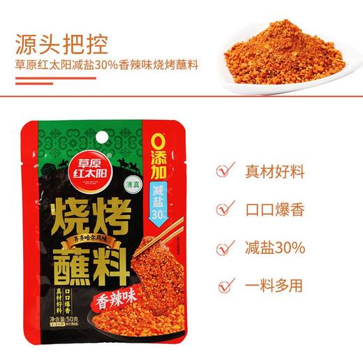 草原红太阳50g齐齐哈尔香辣烧烤蘸料 商品图4