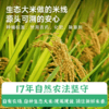 谦益香畴 生态米线500g 纯粮制作 自然米香 乳白米汤 拒绝添加 适合炒粉、汤粉、凉拌 商品缩略图2