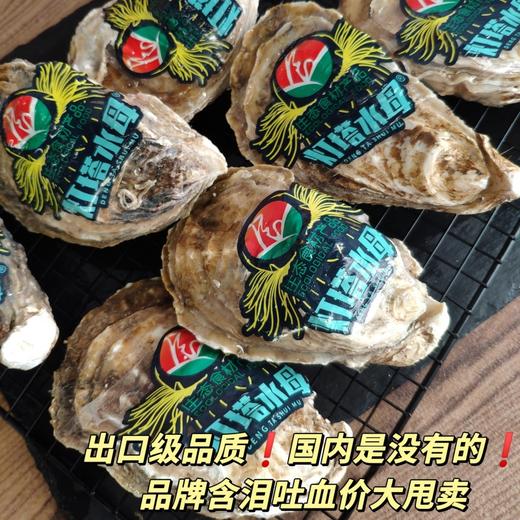 顺丰发货！贝司令 乳山生蚝 4斤-5斤 出口级品质 新鲜现捞 肥美多汁 ASC认证 乳山地标认证 鲜甜不腥 商品图1