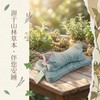 非遗山苍子颈舒枕 | 天然草本颗粒填充 高矮软硬可调节 有效贴合颈椎曲线 舒缓颈部僵硬酸痛 自带山苍子清香 放松肩颈压力  温柔守护颈椎健康 商品缩略图1