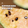 5天内发货 企鹅市集|山东 彩虹冰淇淋西瓜 绿标/黑标/金标可选 立体式种植方式 细腻酥脆 红黄橘多色彩虹色 水果 商品缩略图2