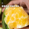 5天内发货 企鹅市集|山东 彩虹冰淇淋西瓜 绿标/黑标/金标可选 立体式种植方式 细腻酥脆 红黄橘多色彩虹色 水果 商品缩略图3