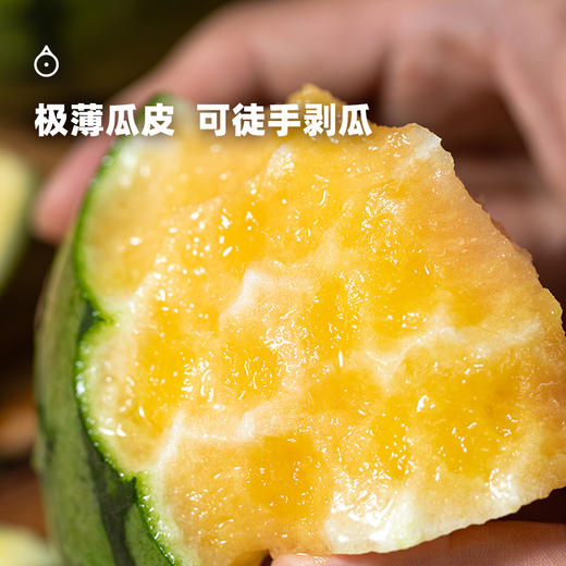 5天内发货 企鹅市集|山东 彩虹冰淇淋西瓜 绿标/黑标/金标可选 立体式种植方式 细腻酥脆 红黄橘多色彩虹色 水果 商品图3
