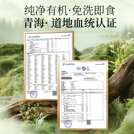 神农金康 有机枸杞500g/罐 原生态真滋补 商品图1