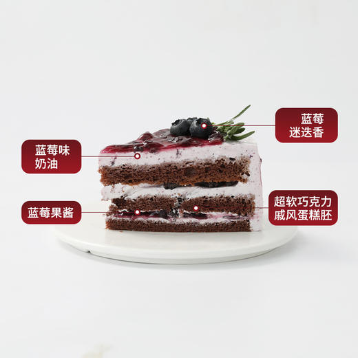 【蓝莓派对】酸甜可口的蓝莓蛋糕，鲜蓝莓×蓝莓果酱×绵密奶油，从果实的清脆到奶油的柔滑，每一口都能遇见蓝莓的馥郁（89.9/109.9/119.9） 商品图3