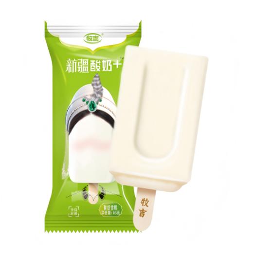 2箱-20【顺丰冷链包邮】新疆牧吉雪糕混合装20支（酸奶*2 鲜奶*6 核桃*6 黑加仑*6） 商品图6