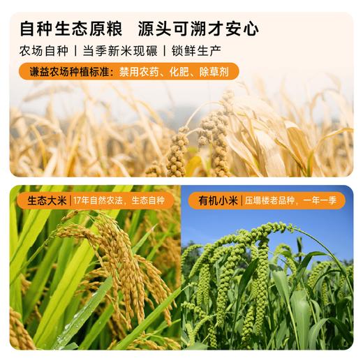 谦益香畴小米米线500g 纯粮制作 拒绝添加 爽滑筋道 炒粉 汤粉优选 商品图3