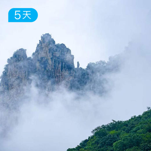 探三峡 · 走进长江｜27公里人文轻徒步 豪华游轮+徒步悠游三峡之路 5日 商品图14