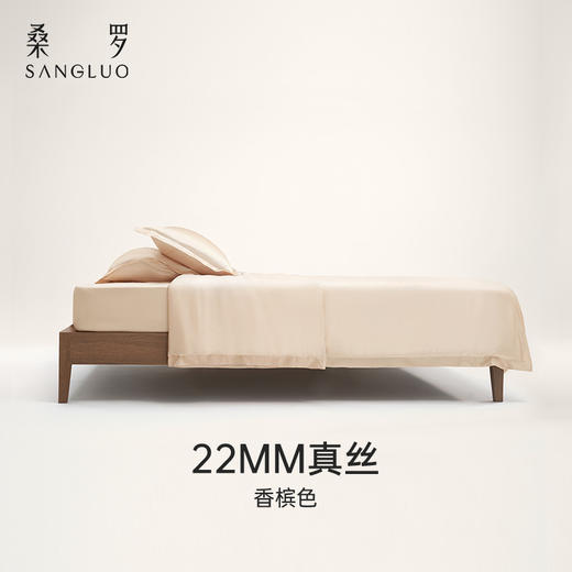 轻奢四件套SANGLUO桑罗纯色INS风桑蚕丝高端床上用品 商品图5