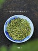 【群体种龙井】【免费试喝】2026年头波春茶，专供线下店产品，线下店爆卖产品，超高性价比回馈老客，200克/份 商品缩略图4