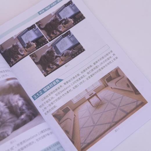 Seedance 2.0 **能当导演的AI工具Seedance 2.0入门教程即梦AI短视频剪映书籍 商品图3