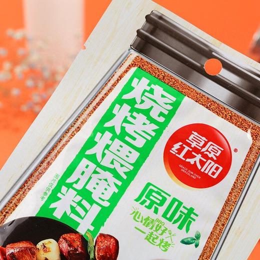 J红太阳30g原味烧烤煨腌料 商品图3