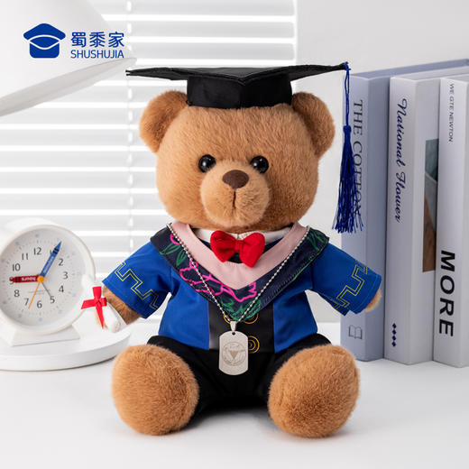 【坐姿毕业熊】可定制学士/硕士/博士毛绒公仔玩具礼盒装文科/理科/工科/医科小熊玩偶送礼摆件 商品图7