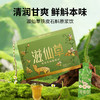 严选 | 滋仙草铁皮石斛原浆饮 30ml*7袋/盒 赠: 2袋试饮装 更野更鲜浓 商品缩略图1