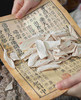 生态铁棍怀山药片|天然晾晒干、人工切片|崔永利农场基地直发 商品缩略图6