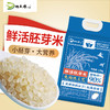黑龙江五常地大粮心大米胚芽米， 2.5kg/袋（5斤装），米饭口感软糯香滑，易于消化，全家人都吃 商品缩略图5