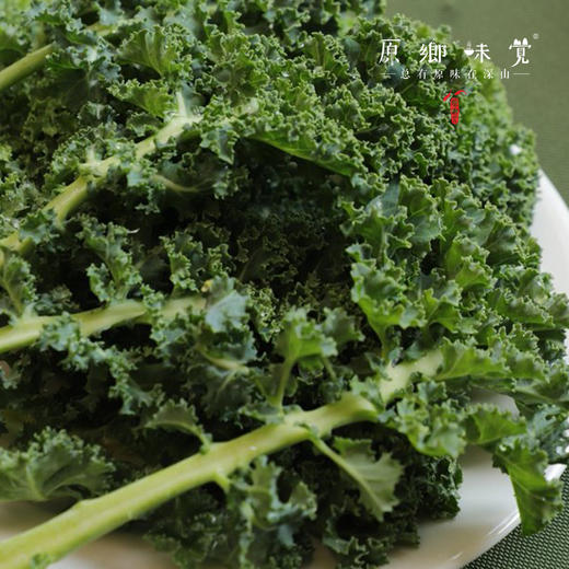 生态冻干羽衣甘蓝粉（成都仓库-顺丰快递 ）| 70g/罐，来自四川郫都【原乡自产】 商品图4